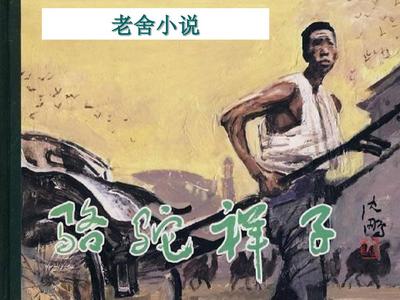 深入了解 Yw52777最新跳转接口